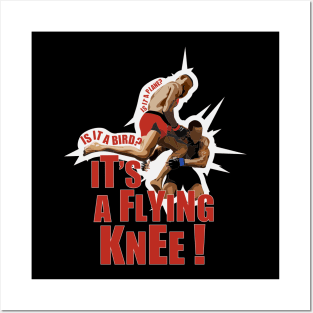 Flying Knee - Mixed Martial Arts Posters and Art